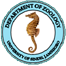 University of Sindh logo