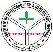University of Sindh logo