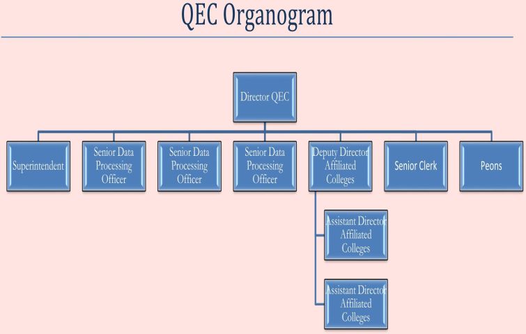QEC Organogram